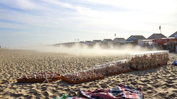 Top 5 endroits pour acheter une étoile de mer à Wimereux